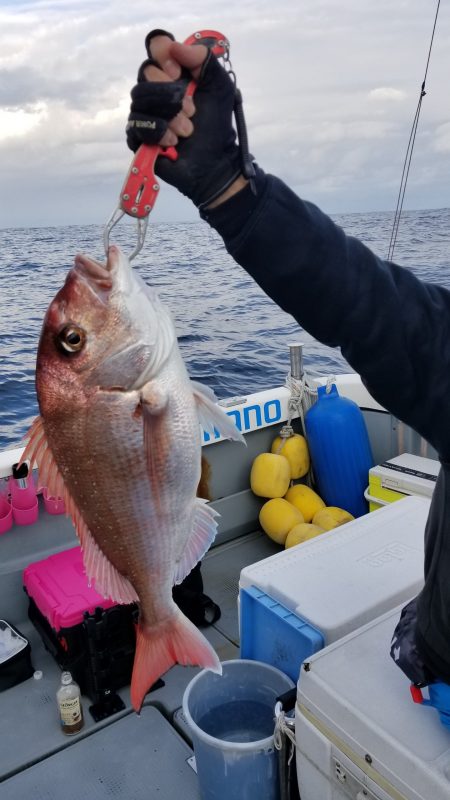 珀宝丸 釣果