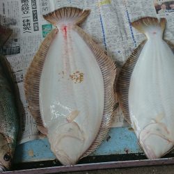 明神釣船 釣果