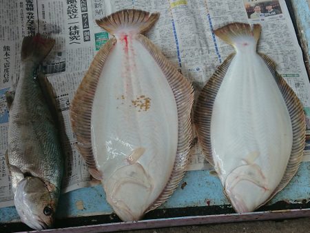 明神釣船 釣果