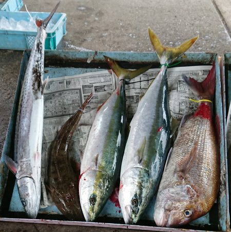 明神釣船 釣果