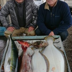 明神釣船 釣果