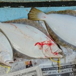 明神釣船 釣果