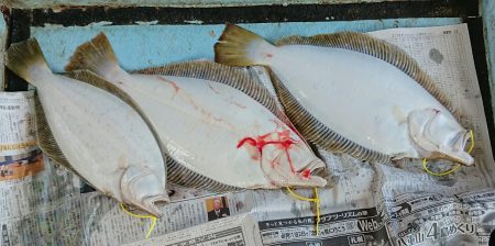 明神釣船 釣果