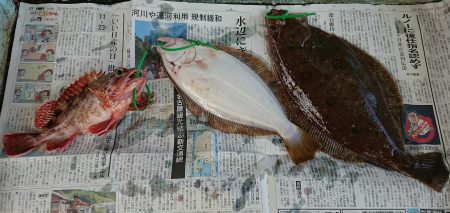 明神釣船 釣果