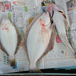 明神釣船 釣果