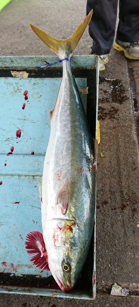 明神釣船 釣果