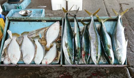 明神釣船 釣果