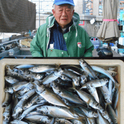 荒川屋 釣果