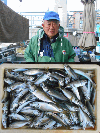 荒川屋 釣果