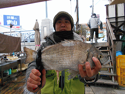 荒川屋 釣果