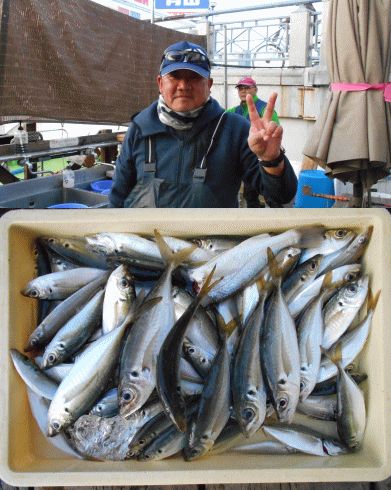 荒川屋 釣果