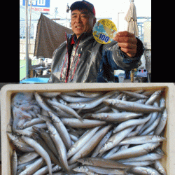 荒川屋 釣果