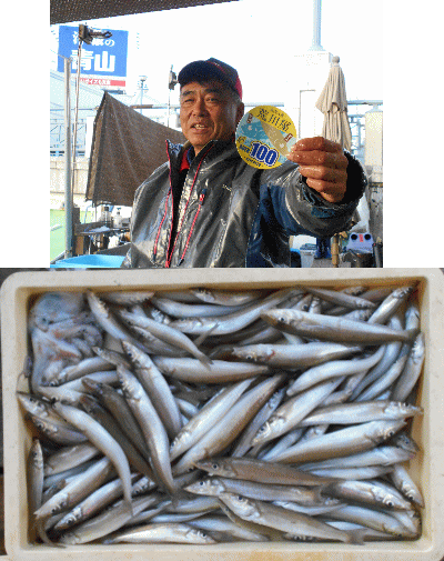 荒川屋 釣果