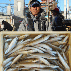 荒川屋 釣果