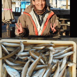 荒川屋 釣果