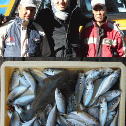 荒川屋 釣果