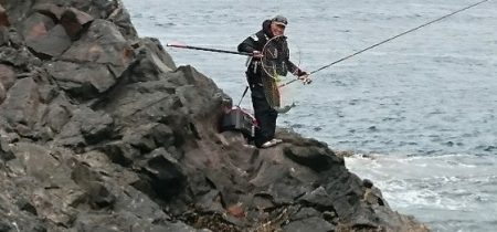 しば渡船 釣果