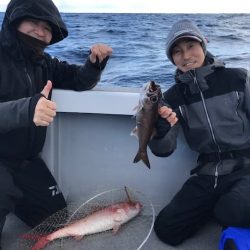 へいみつ丸 釣果