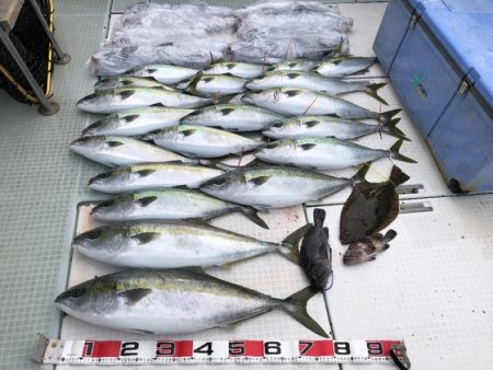 ふじしめ丸 釣果