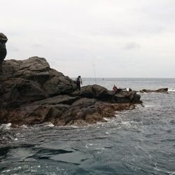 しば渡船 釣果