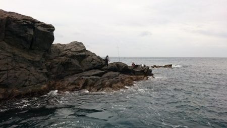 しば渡船 釣果