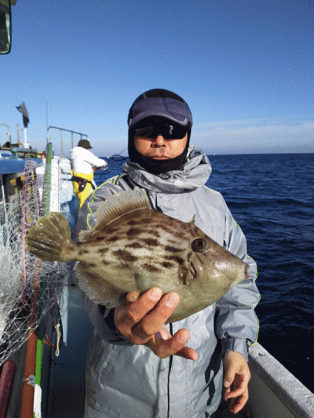 清和丸 釣果