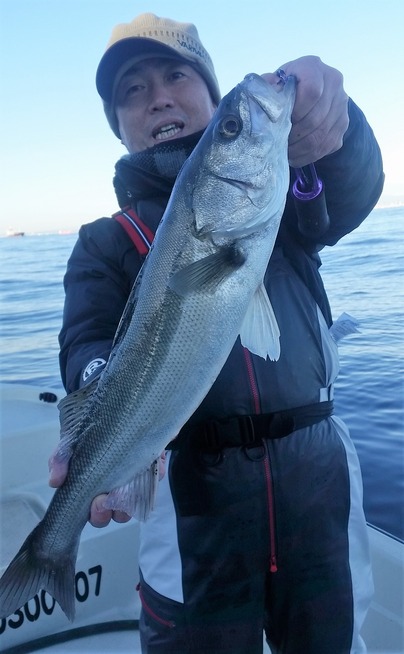 めだか屋 釣果