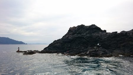 しば渡船 釣果