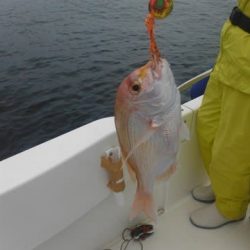 開進丸 釣果