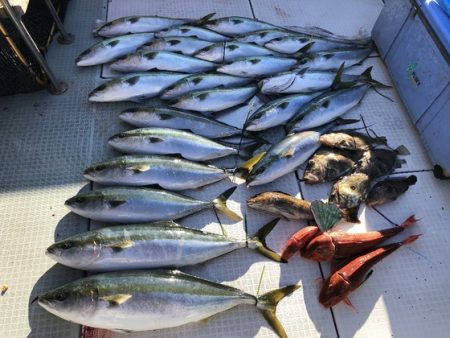 ふじしめ丸 釣果