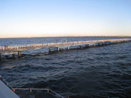 オリジナルメーカー海づり公園(市原市海づり施設) 釣果