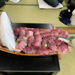 みやけ丸 釣果