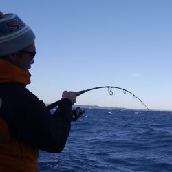 松鶴丸 釣果