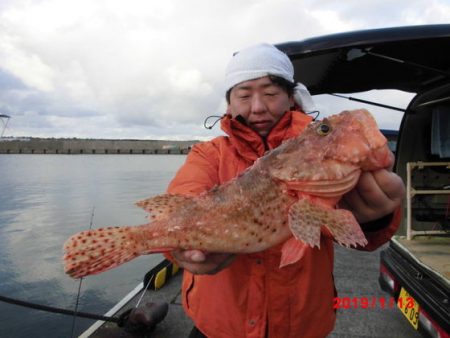 大進丸（新潟） 釣果