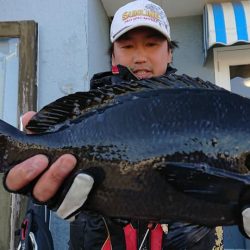 伊豆下田フィッシング 釣果