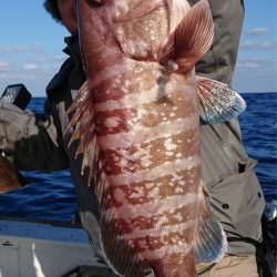 宝生丸 釣果