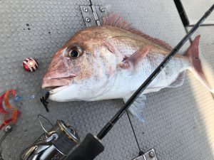 白墨丸 釣果