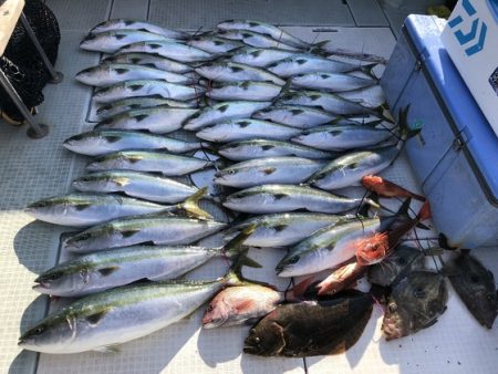 ふじしめ丸 釣果