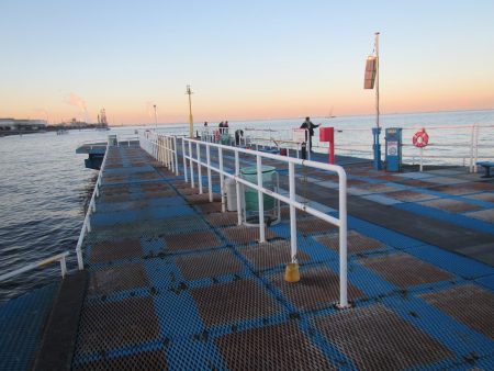 オリジナルメーカー海づり公園(市原市海づり施設) 釣果