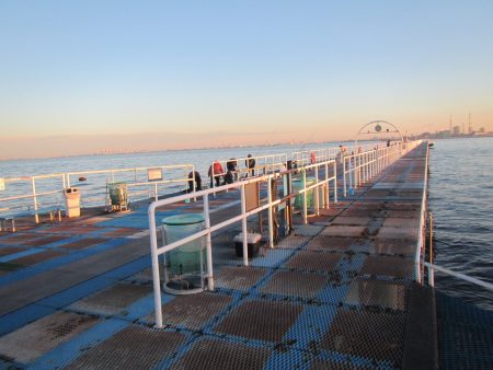 オリジナルメーカー海づり公園(市原市海づり施設) 釣果