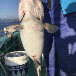 広進丸 釣果