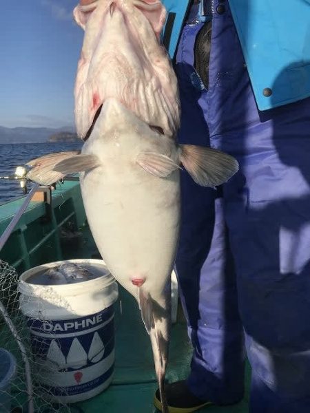 広進丸 釣果