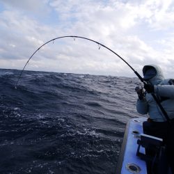 松鶴丸 釣果