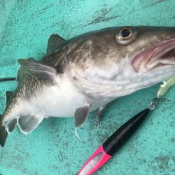 広進丸 釣果