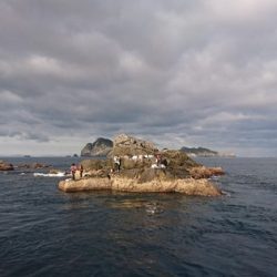 しば渡船 釣果