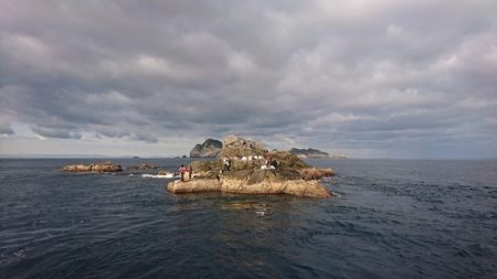 しば渡船 釣果