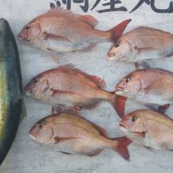 網屋丸 釣果