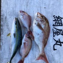 網屋丸 釣果