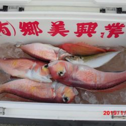 大進丸（新潟） 釣果