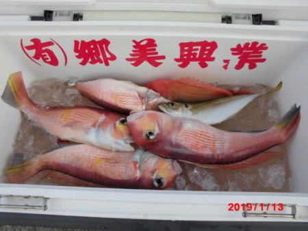 大進丸（新潟） 釣果